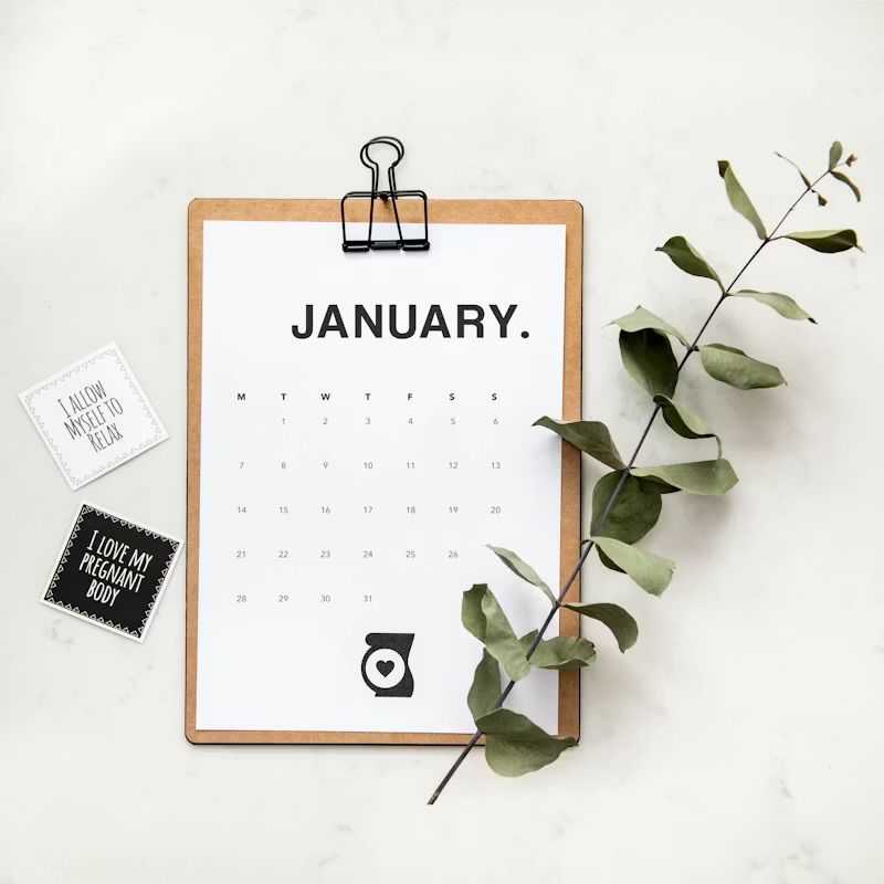 Entering the Gate of January: Establishing Structure, Authority, and Foundations for the Year