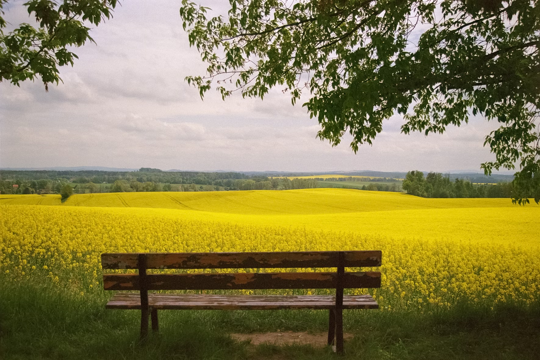 Entering the Gate of May: Revelation, Instruction, and Divine Direction