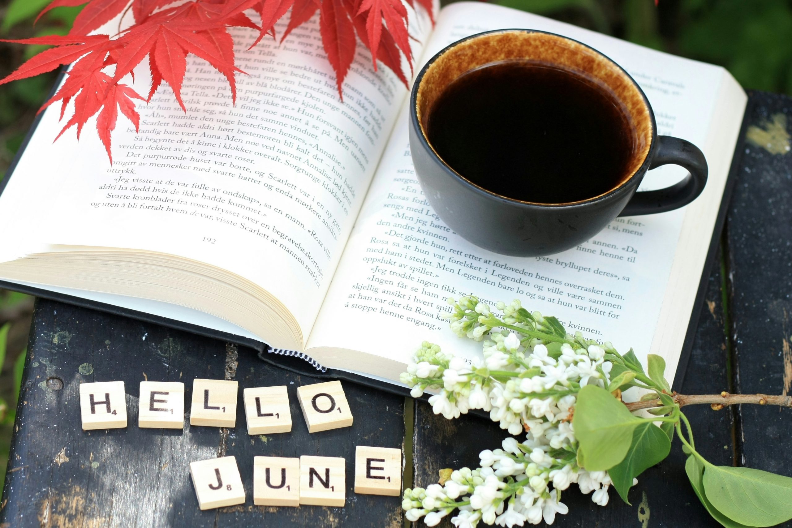 Entering the Gate of June: Vision, Evaluation, and Guarding Purpose