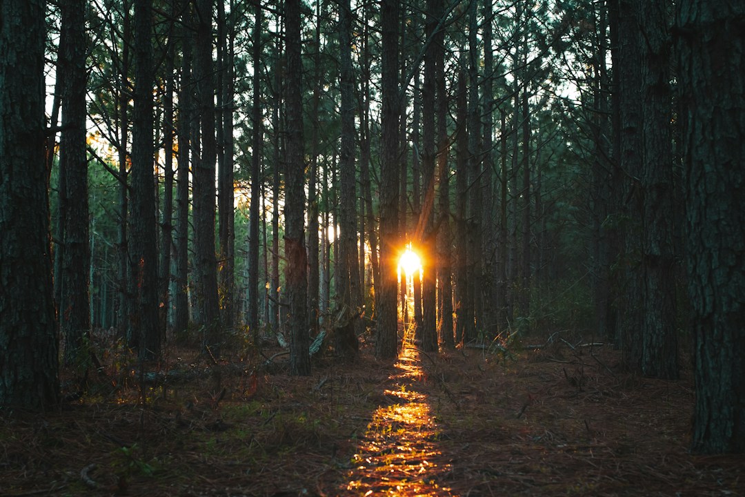 Depression and Faith: How God Cares for the Weary